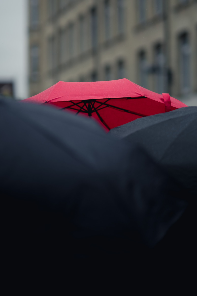 A single red umbrella standing out from two black umbrellas.